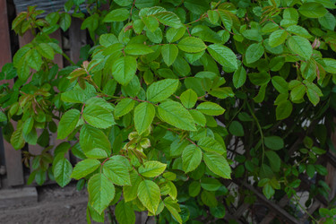 Similar image 21326472