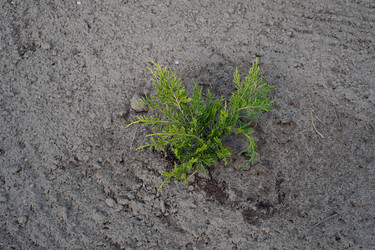 Similar image 21326473