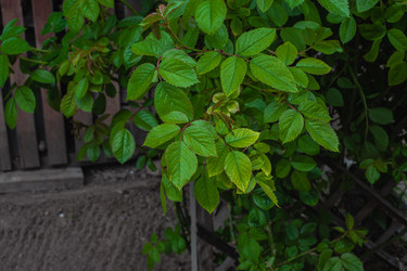 Similar image 21326474