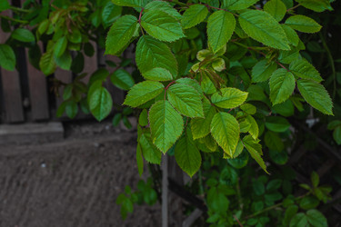 Similar image 21326565