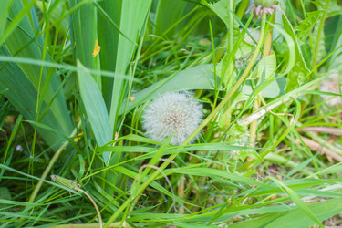 Similar image 21336453