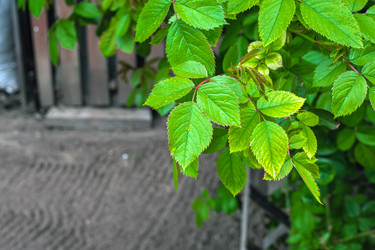 Similar image 21336456