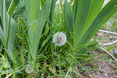 Similar image 21336702