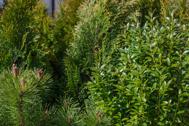 Similar image 21336707