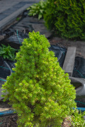 Similar image 21336708