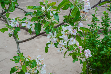 Similar image 21336715