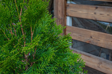 Similar image 21336717