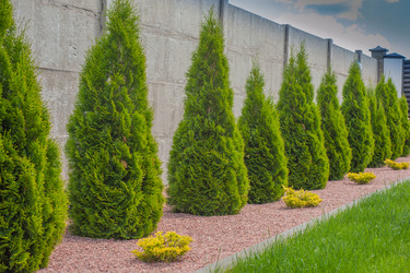 Similar image 21336720