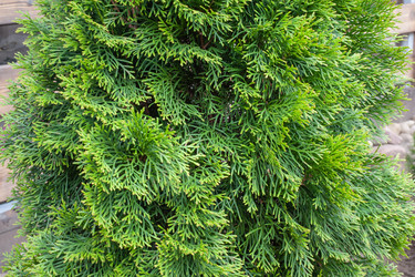 Similar image 21336724