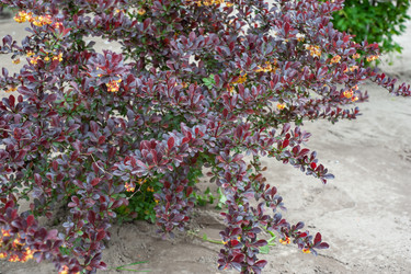 Similar image 21336725