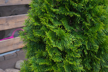 Similar image 21336728