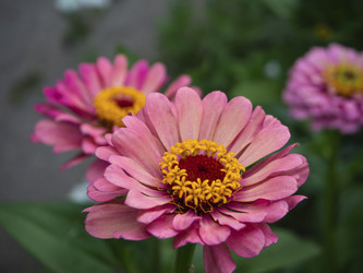 Similar image 21322824