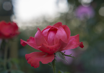 Similar image 21322825