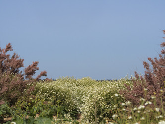 Similar image 21322832