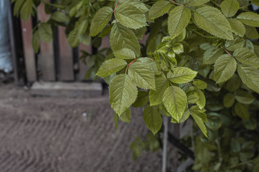 Similar image 21326571