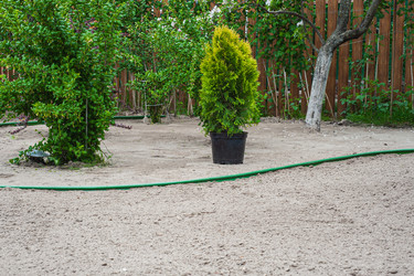 Similar image 21326572