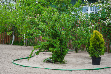 Similar image 21336462