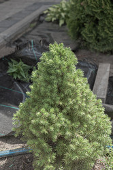 Similar image 21336463