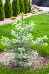 Similar image 21336470