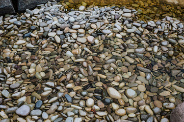 Similar image 21336471