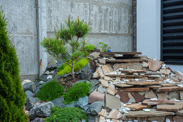 Similar image 21336474