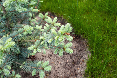 Similar image 21336481