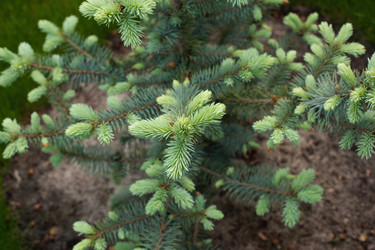 Similar image 21336483