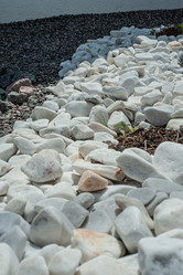 Similar image 21336486