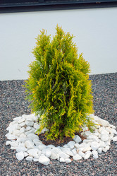 Similar image 21336489