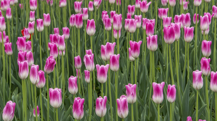 Similar image 21322896