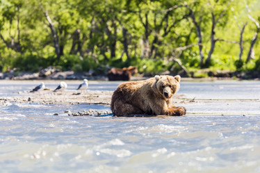 Similar image 21323148