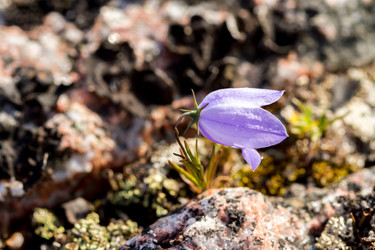 Similar image 21323152