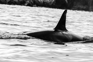 Similar image 21323157