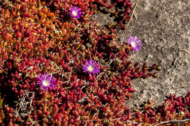 Similar image 21323166