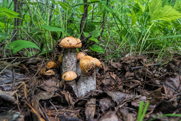 Similar image 21324624