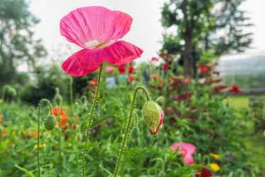 Similar image 21324626