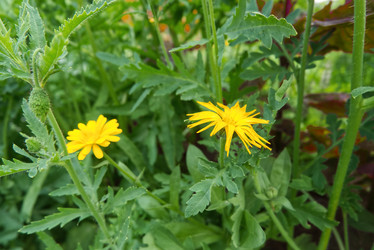 Similar image 21324627