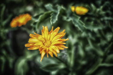 Similar image 21324628