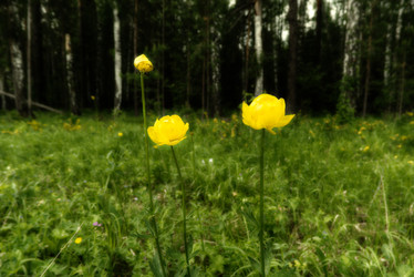 Similar image 21324629