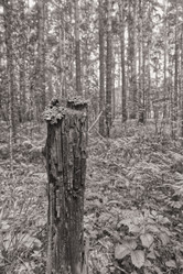 Similar image 21324630