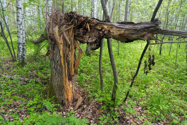 Similar image 21324631