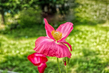 Similar image 21324632