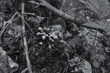 Similar image 21324633