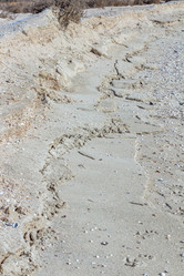 Similar image 21324638