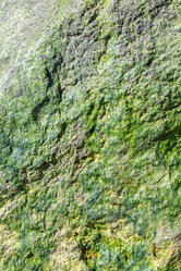 Similar image 21324641