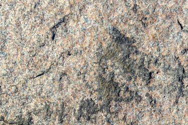 Similar image 21324642