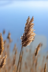 Similar image 21324644