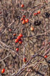 Similar image 21324645