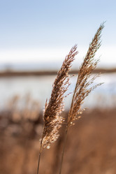 Similar image 21324646