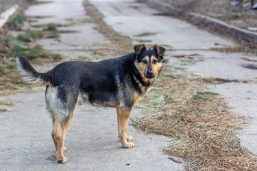 Similar image 21324648